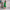Green Loom Cotton Shift Dress