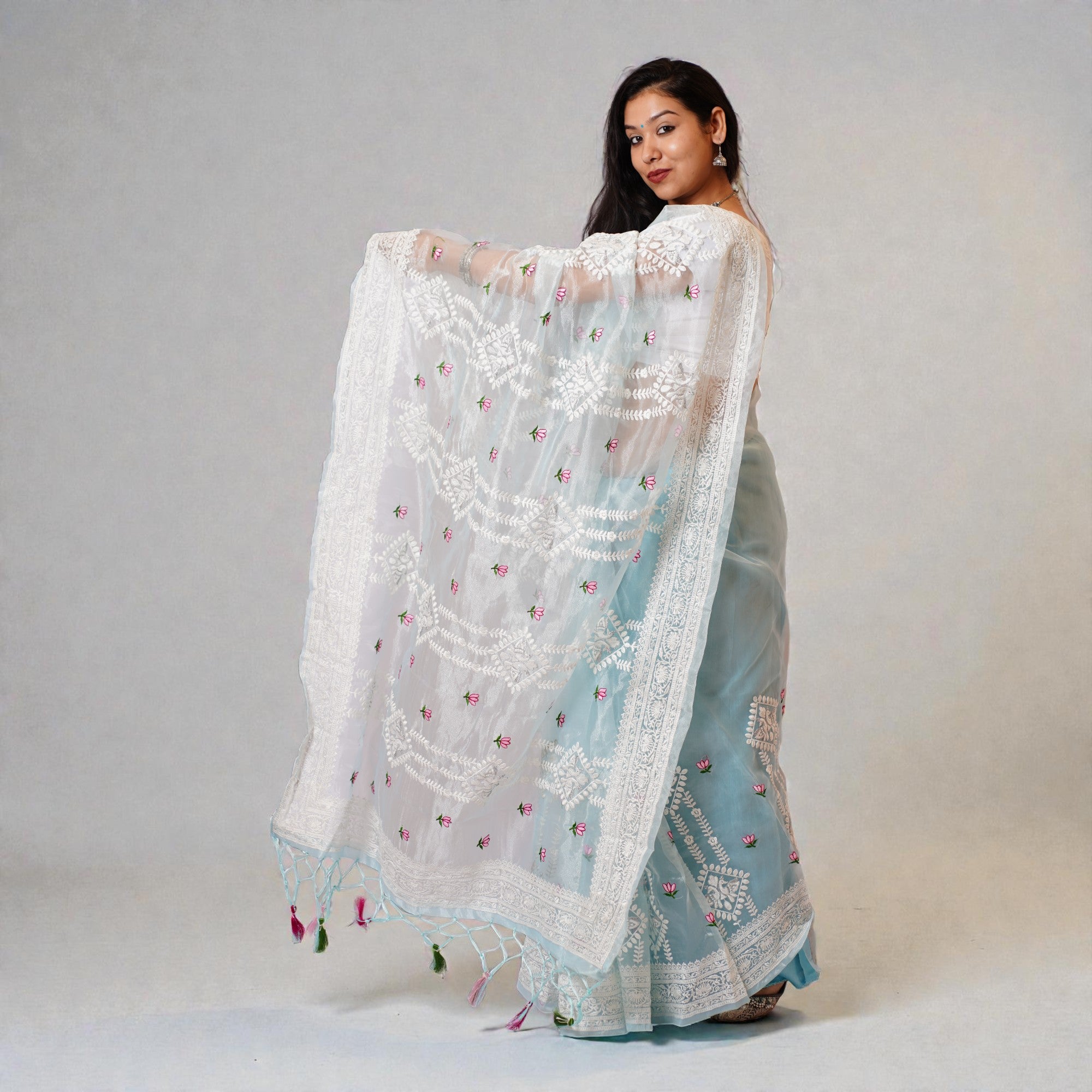 Blue Chikankari Organza Saree