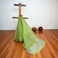 Green Stripe Cotton Saree