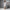 GreyWave Handblock Cotton Shift Dress